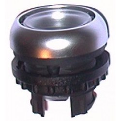 Push Button M22DX 